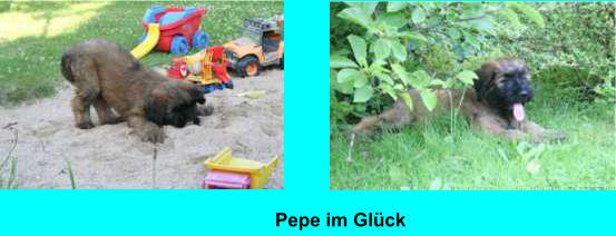 Pepe im Glck